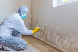 Best Mold Remediation for Healthcare Facilities  in Dallas, TX