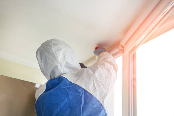 Best Asbestos and Lead Testing During Mold Inspection  in Dallas, TX