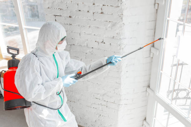 Reliable Dallas, TX Mold Inspection Solutions