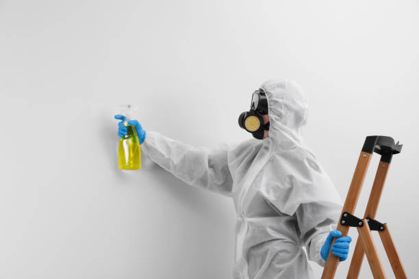 Best Air Quality Testing for Mold Spores  in Dallas, TX